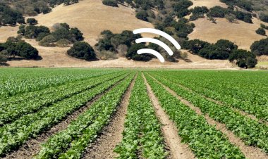 Bilim insanları, ıspanaktan elektronik posta almayı başardı