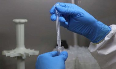 Kovid-19 salgını üretimde 'ulusallaşma' eğilimini artırdı