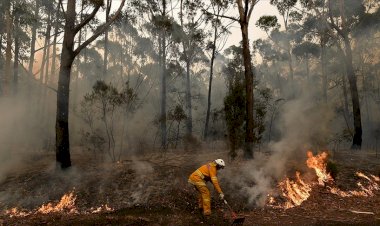 Batı Avustralya'daki orman yangınları kontrol altına alınamadı