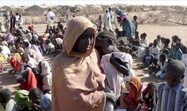 BM: Etiyopya'nın kuzeyindeki insani durum aşırı derece korkutucu