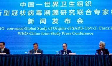 DSÖ koronavirüsün kaynağını bulamadı