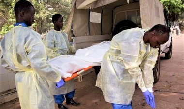 DSÖ, Afrika'da Kovid-19 ölümlerinin son bir ayda yüzde 40 arttığını bildirdi