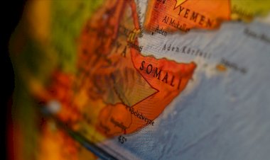 Somali BAE'nin 'geçici hükümet' açıklamasına tepki gösterdi