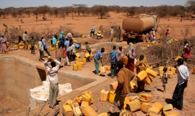 Kenya: 'Bizi öldürecek olan koronavirüs değil susuzluktur'