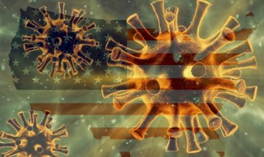 California'da Kovid-19'un daha tehlikeli yeni bir türünün bulunduğu iddia edildi