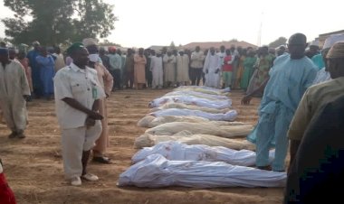 Nijerya'da altın madeninde silahlı saldırı: 22 ölü