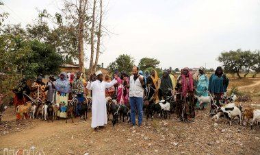 Avrupa Yetim Eli Uganda'da süt keçisi ve gıda paketi dağıttı