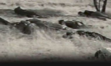 Lîderan derheqê 47emîn salvegera qetlîama Qeladizê de peyam dan