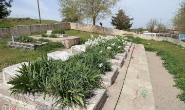 Kur'an aşığı Şehid Tevfik Demir