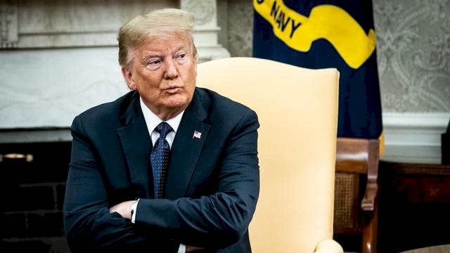 Trump: Oy pusulaları ölülere, kedilere ve köpeklere gidiyor