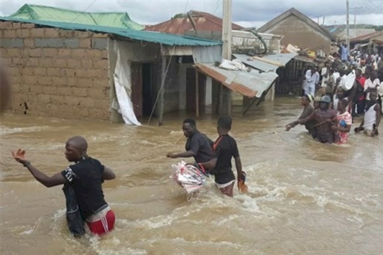 Nijerya'da sellerde hayatını kaybedenlerin sayısı 77'ye çıktı