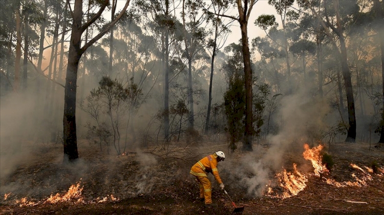 Batı Avustralya'daki orman yangınları kontrol altına alınamadı