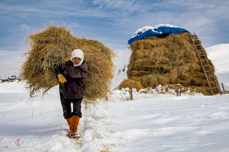 İLKHA muhabirine Hindistan'daki yarışmada 'altın madalya' getiren kare