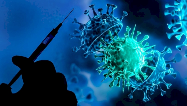 Araştırma: Delta varyantı suçiçeği virüsünden daha bulaşıcı