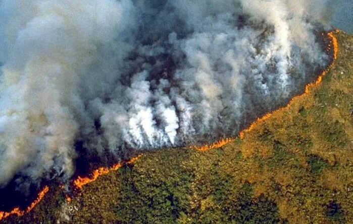 Amazonlar'da 'ormansızlaşma' tehdidi
