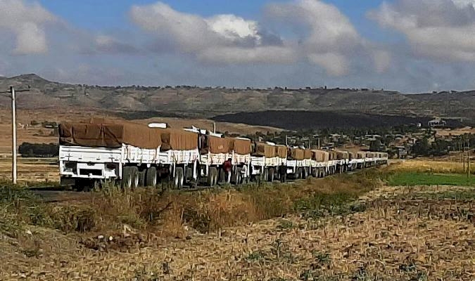 Etiyopya, Batı ülkelerinin Tigray bölgesine 'yardım koridoru' teklifini reddetti