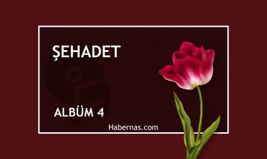 ŞEHADET 4