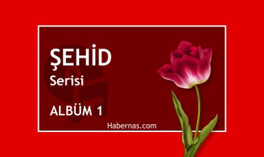 ŞEHİD 1