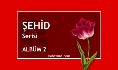 ŞEHİD 2