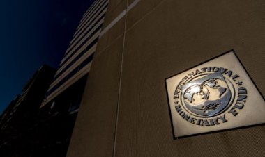 Arap ülkeleri IMF'den 37,3 milyar dolar aldı