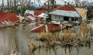 Meksika'da 'Nora Kasırgası' birçok bölgeyi sular altında bıraktı