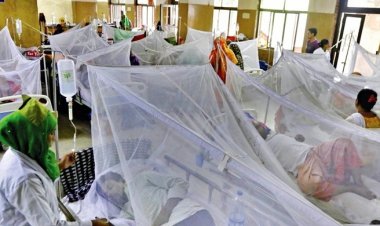 Bangladeş'te dang hummasının daha ölümcül varyantı baskın hale geldi