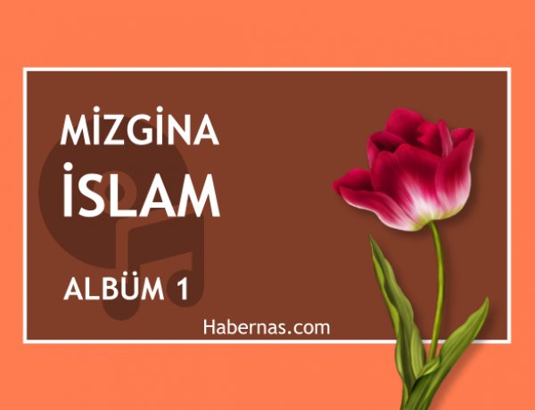 MİZGİNA İSLAM 1