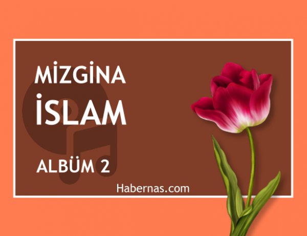 MİZGİNA İSLAM 2