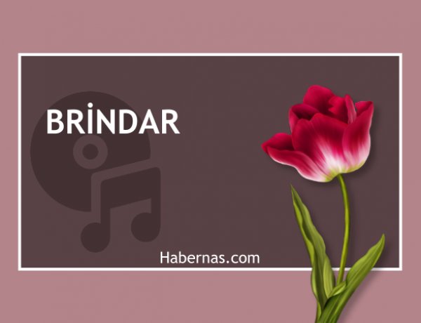 BRİNDAR