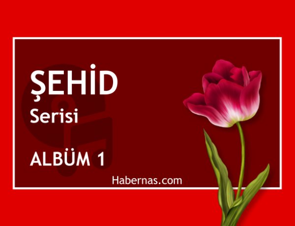 ŞEHİD 1