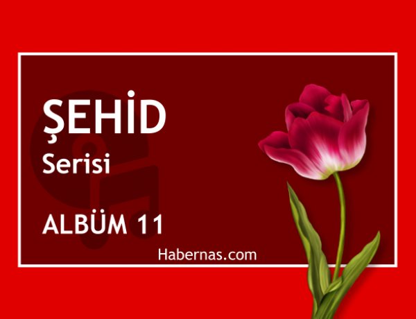 ŞEHİD 11