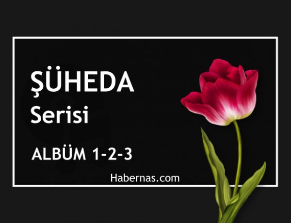 ŞÜHEDA SERİSİ 1-2-3