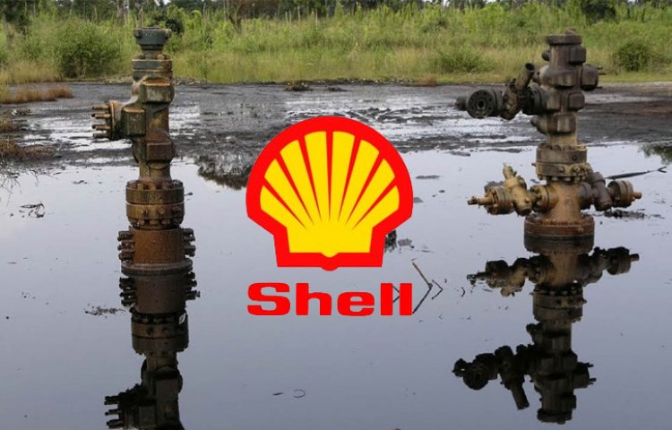 Shell, Nijerya'daki Ogoni halkına 110 milyon dolar tazminat ödeyecek