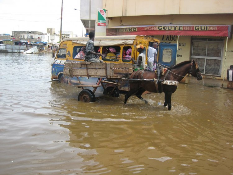 Senegal'de aşırı yağışlar sele neden oldu