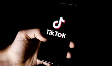 Hollanda'da TikTok'a 6 milyar avroluk dava