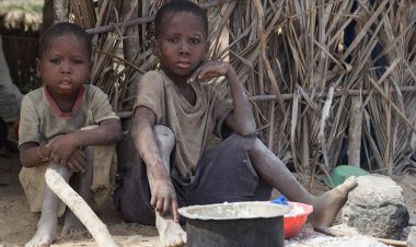 Kenya'da 2,1 milyon kişi açlıkla burun buruna