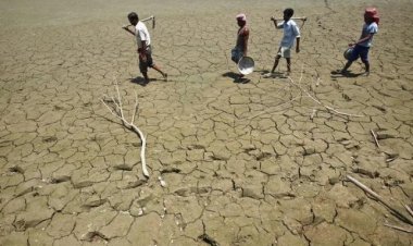 BM: Kenyalı çiftçiler hayatta kalmak için tüm mallarını satıyor