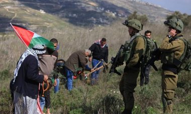 İşgalci İsrail Batı Şeria'da 48 bin dönüm Filistin toprağına el koydu