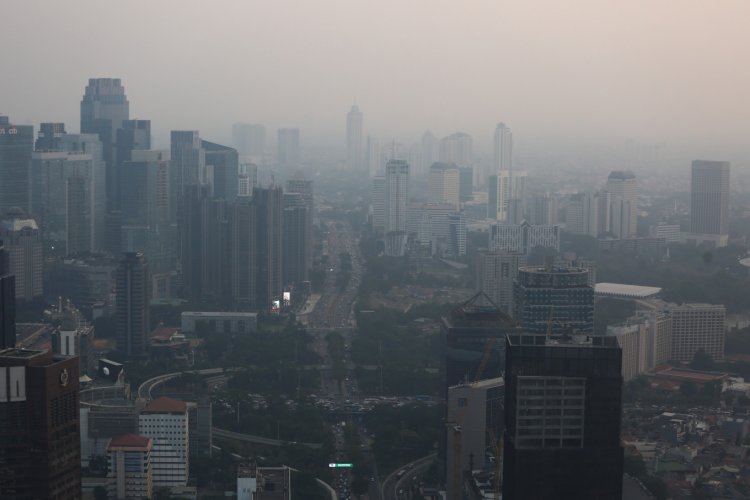Endonezya'daki hava kirliliğinde Devlet Başkanı ihmalkar bulundu