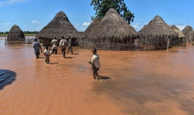 Uganda'da şiddetli yağış: 1 milyon kişi etkilendi