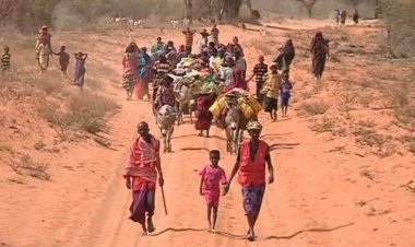 Afrika'da iklim değişikliği, 2050'ye kadar milyonlarca kişiyi yerinden edebilir