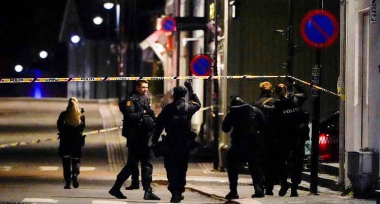 Norveç'te oklu saldırıda 5 kişi hayatını kaybetti