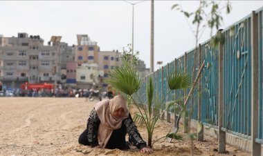 Gazze'de İşgalci İsrail'in saldırılarında katledilen çocuklar için ağaç dikme kampanyası