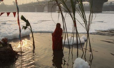 Hindistan'da Yamuna Nehri zehirli köpükle kaplandı