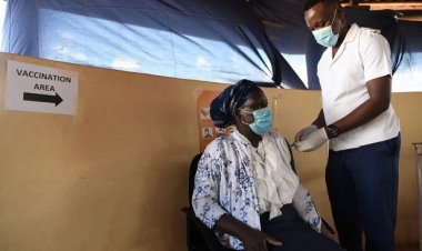 Pandemide yeni tehlike: 32 mutasyonlu Botsvana varyantı