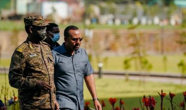 Etiyopya Başbakanından TPLF militanlarına 'teslim olun' çağrısı