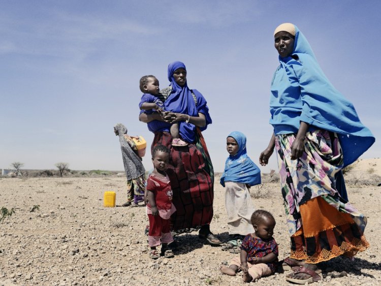 Somali'deki kuraklık milyonlarca çocuğu tehdit ediyor