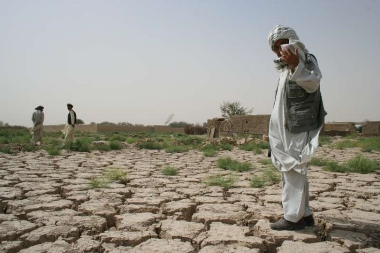Fas'ta kuraklık nedeniyle 'çevre felaketi' uyarısı