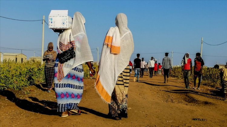 Dünya Gıda Programı, Sudan'da tonlarca gıdanın yağmalanması üzerine yardımları durdurdu