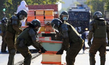 Şili’de arıcıların protestosuna müdahale eden polisleri arı soktu